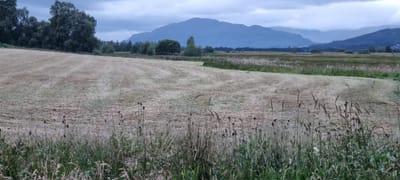 Photograph from Around Insh